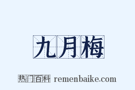 九月梅是什么意思的图片